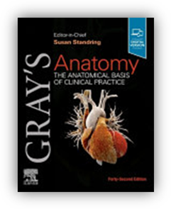 google_book_0702077054